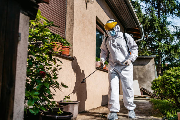 Best Termite Control Services  in Riceville, TN