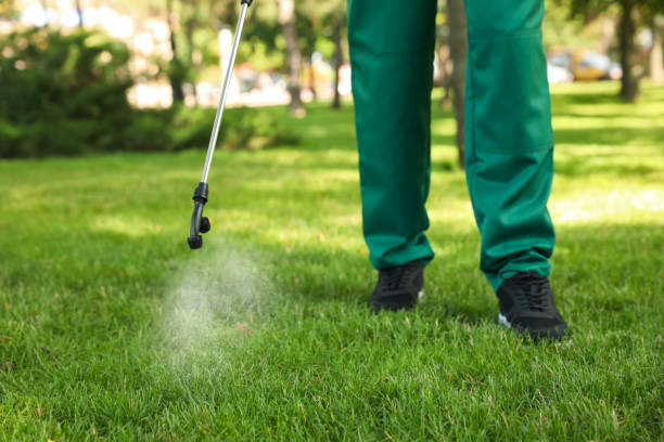 Trusted Riceville, TN Pest Control Experts