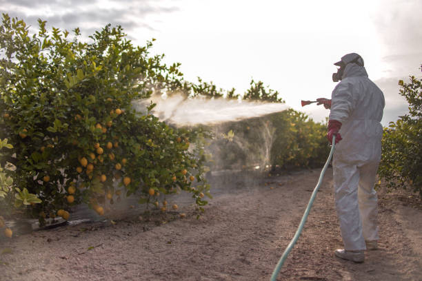 Reliable Riceville, TN Pest Control Solutions